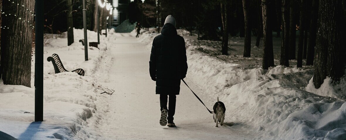 walking dog alone evening